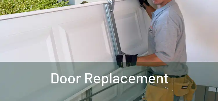  Door Replacement 