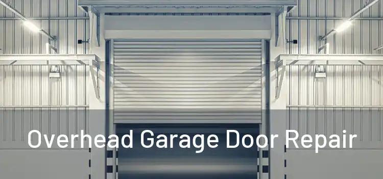  Overhead Garage Door Repair 